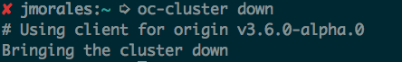 oc-cluster down